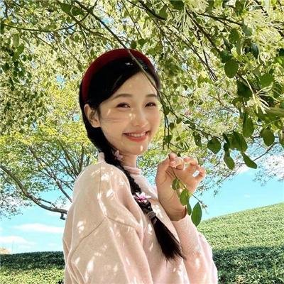 积木之箱
